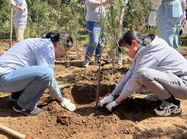 image3.jpeg image3.jpeg